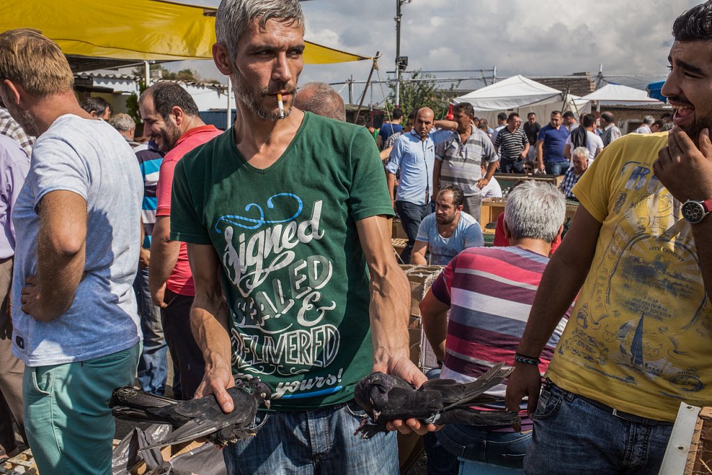 Pidgeon Market. Istanbul