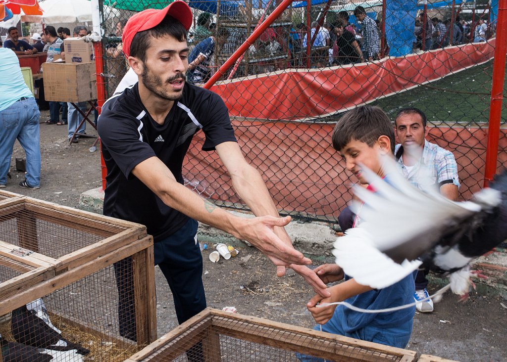 Pidgeon Market. Istanbul