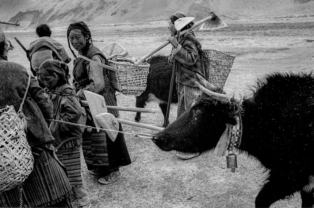 Peasants returning home from their field. Everest region